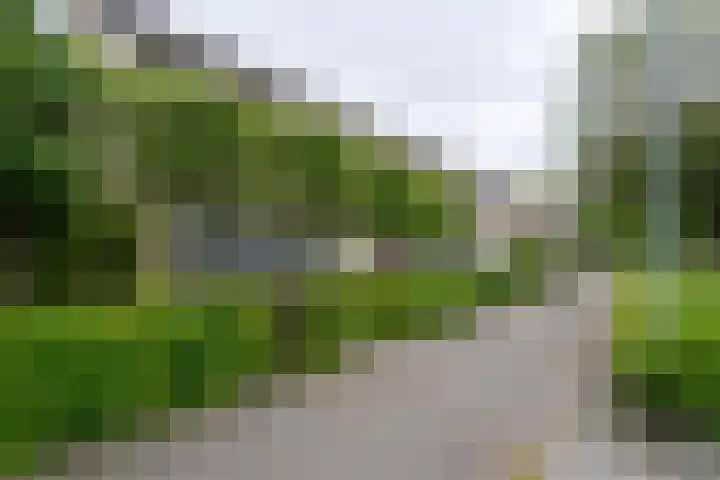 Ellertsveld 10 Veendam thumbnail 22