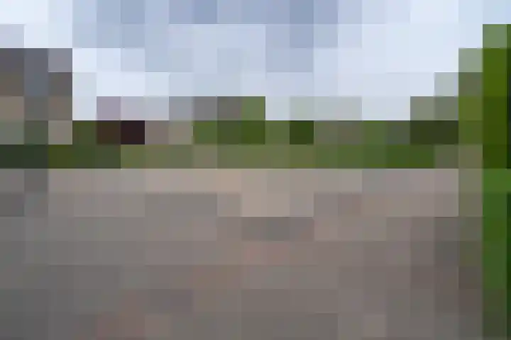 Ellertsveld 10 Veendam thumbnail 23