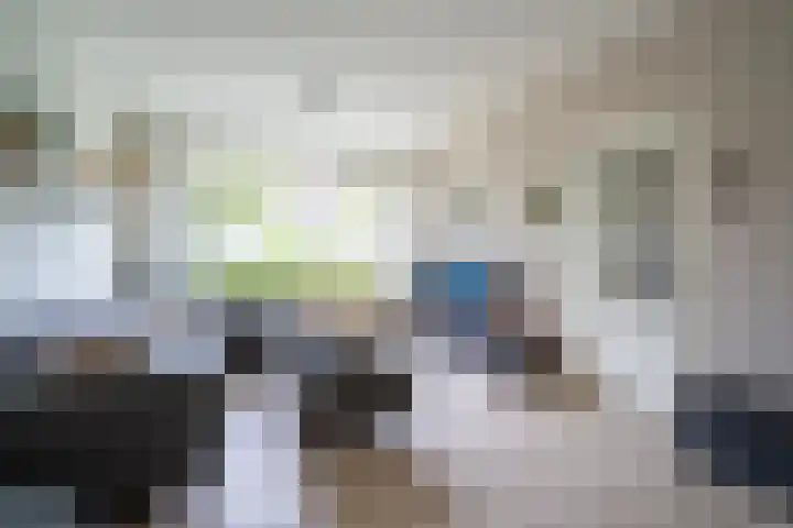 Ellertsveld 10 Veendam thumbnail 7