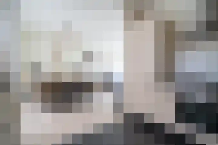 Ellertsveld 10 Veendam thumbnail 9