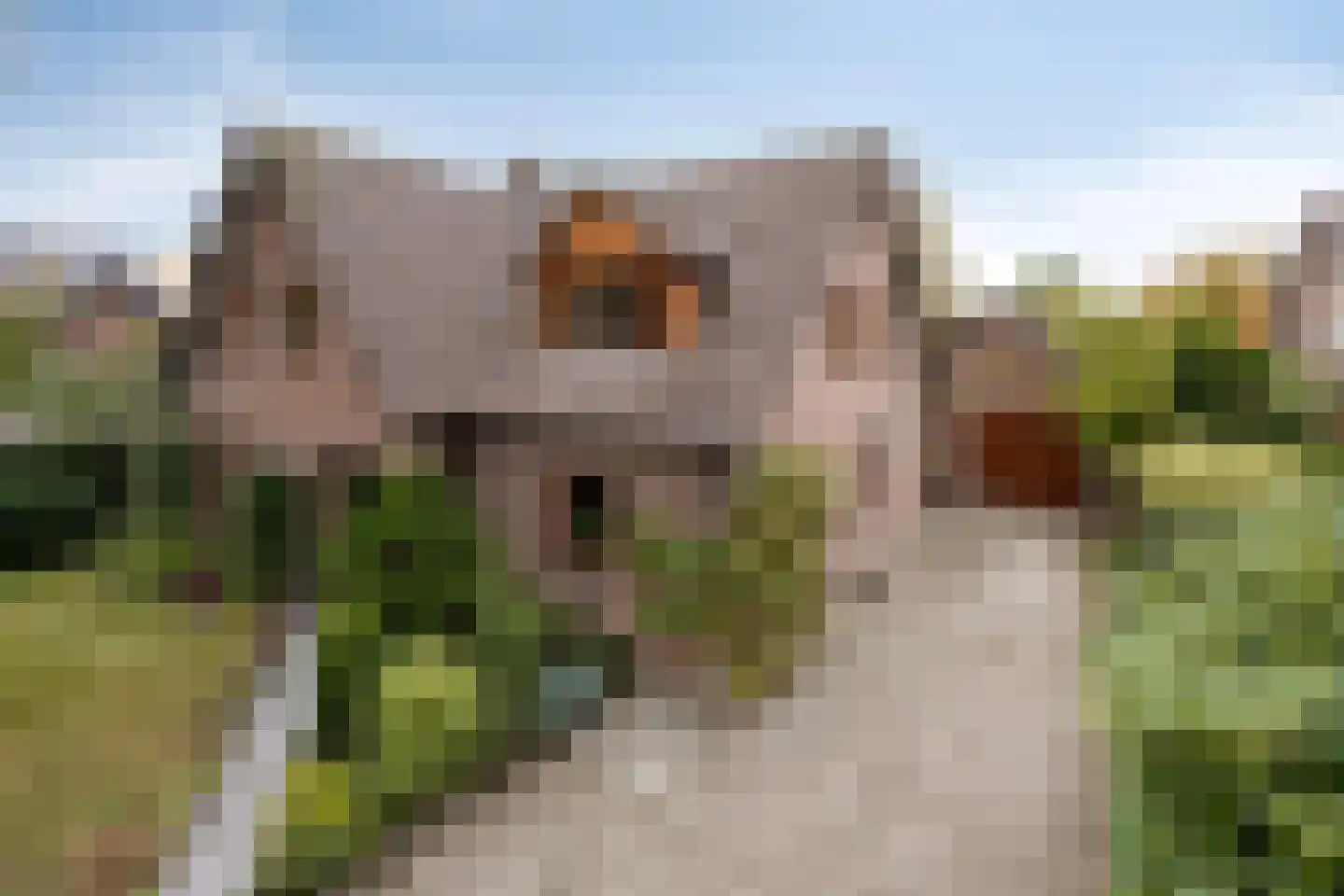 Ellerveld 6 Ell