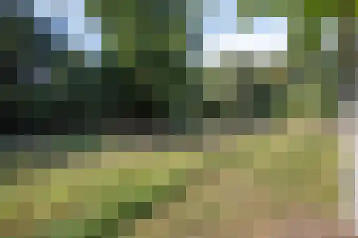 Ellingtonlaan 104 Tilburg thumbnail 33