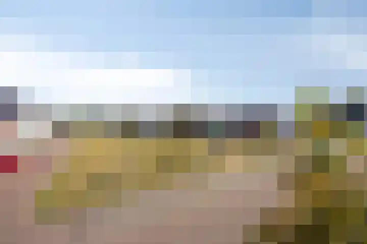 Ellingtonlaan 104 Tilburg thumbnail 37