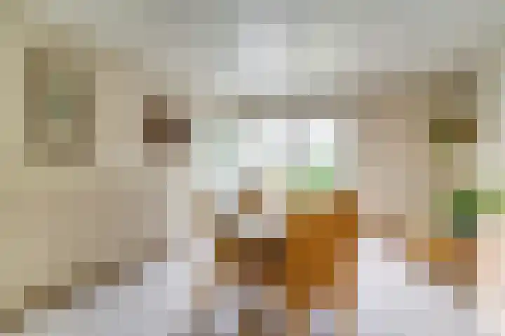 Elmpterbaan 5 Swalmen thumbnail 11