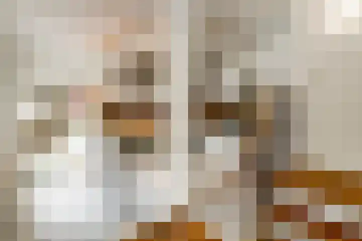 Elmpterbaan 5 Swalmen thumbnail 14