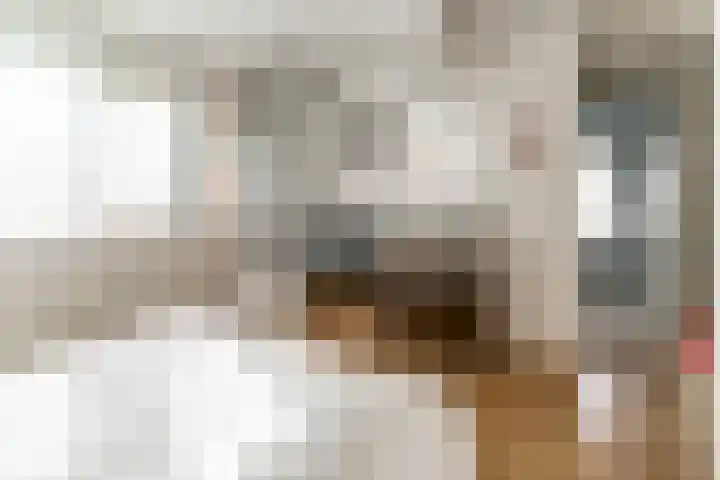 Elmpterbaan 5 Swalmen thumbnail 17