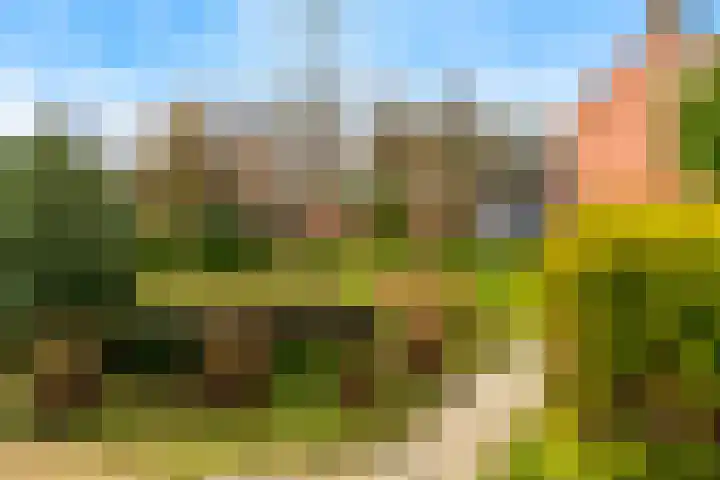 Elmpterbaan 5 Swalmen thumbnail 28