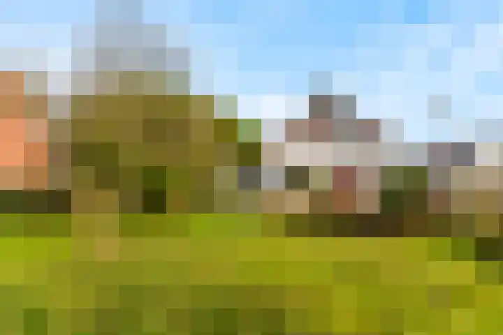 Elmpterbaan 5 Swalmen thumbnail 30