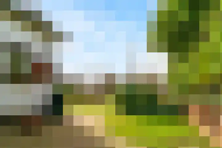 Elmpterbaan 5 Swalmen thumbnail 32