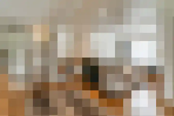 Elmpterbaan 5 Swalmen thumbnail 5
