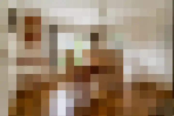 Elmpterbaan 5 Swalmen thumbnail 9