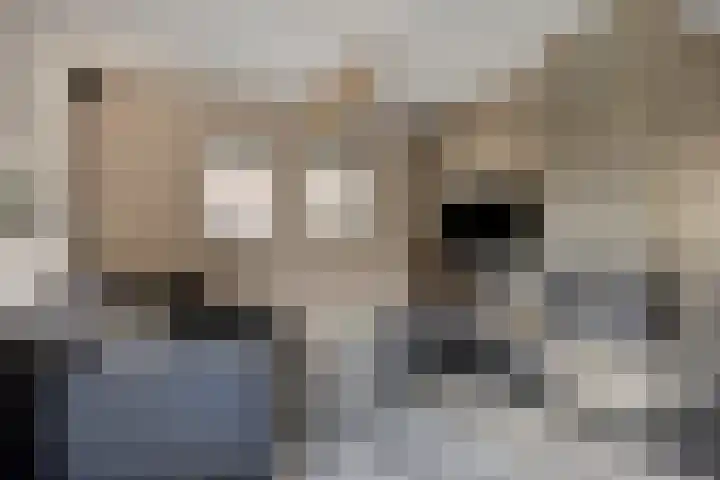 Els 20 Heino thumbnail 12
