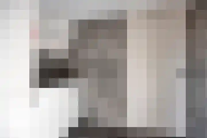 Els 20 Heino thumbnail 23