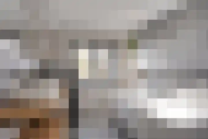Els 20 Heino thumbnail 32