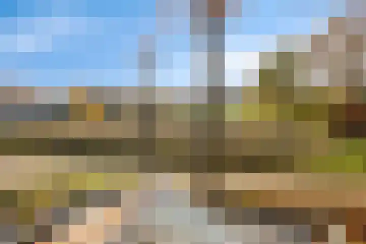 Els 20 Heino thumbnail 35