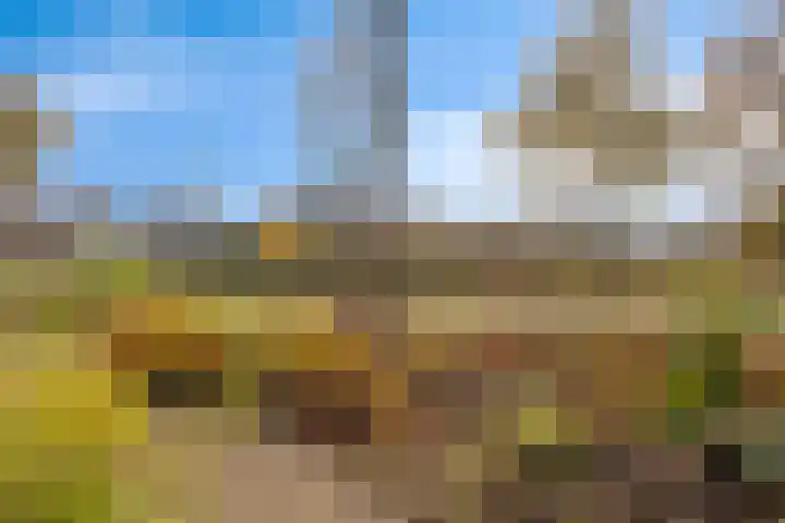 Els 20 Heino thumbnail 51