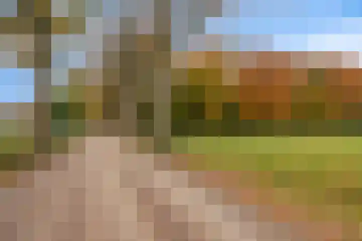 Els 20 Heino thumbnail 52