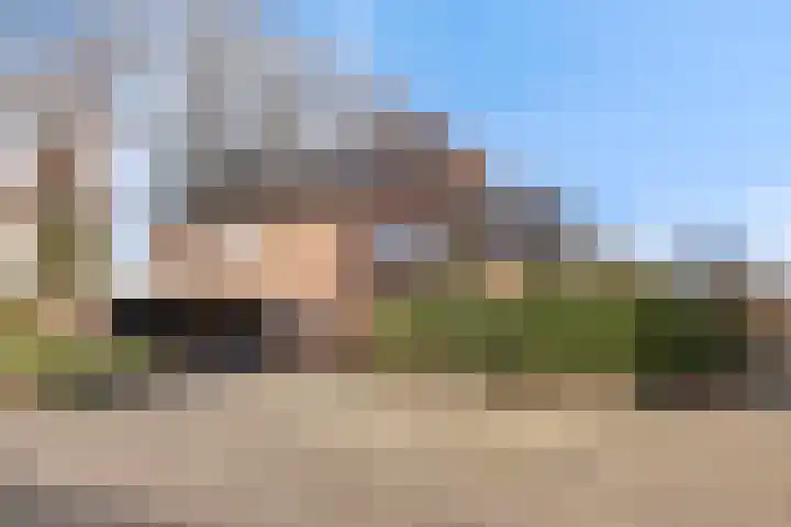 Els 20 Heino thumbnail 6