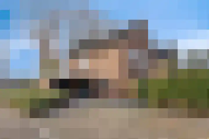 Els 20 Heino thumbnail 7
