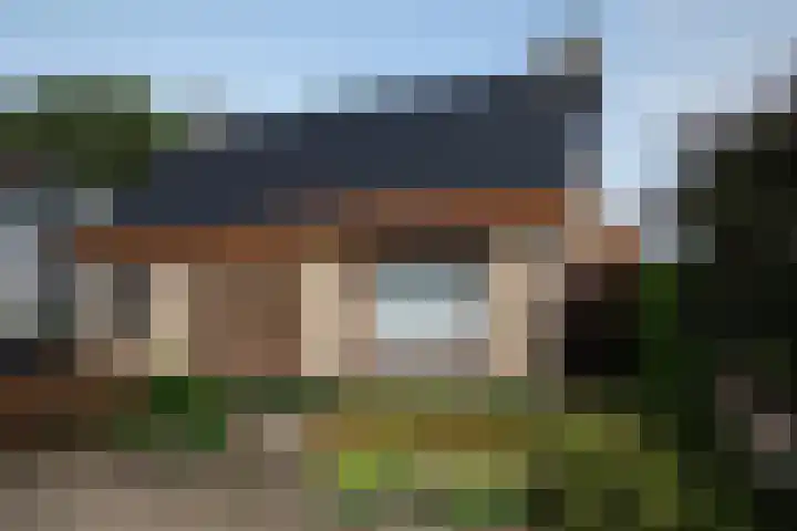 Elsbeemden 4 Horst