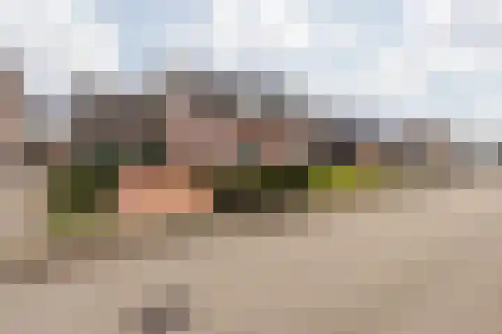 Elserveldstraat 10 Elsloo thumbnail 13