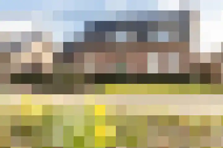 Elserveldstraat 10 Elsloo thumbnail 14