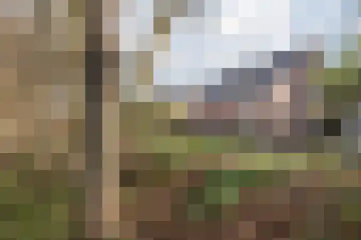 Elserveldstraat 10 Elsloo thumbnail 16