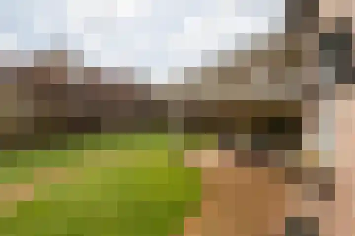Elserveldstraat 10 Elsloo thumbnail 67
