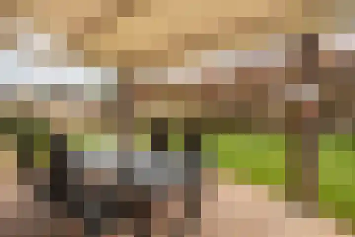 Elserveldstraat 10 Elsloo thumbnail 69