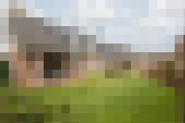 Elserveldstraat 10 Elsloo thumbnail 70