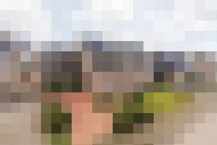Elserveldstraat 10 Elsloo thumbnail 83