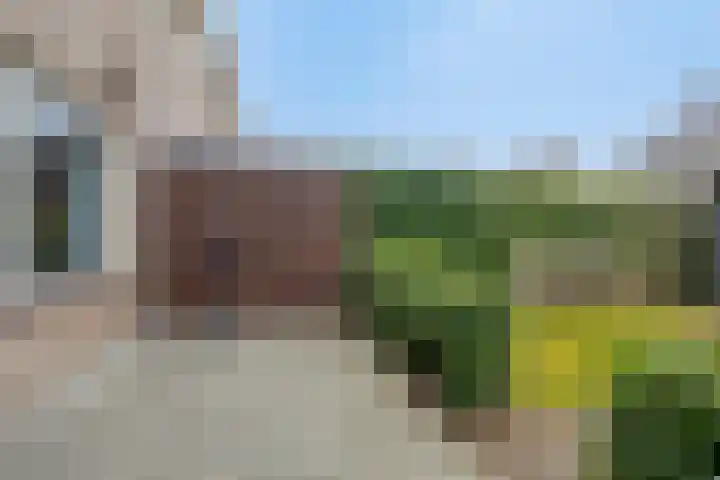 Elshof 42 Veendam thumbnail 35