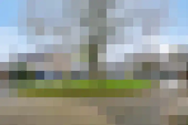 Elshof 42 Veendam thumbnail 40