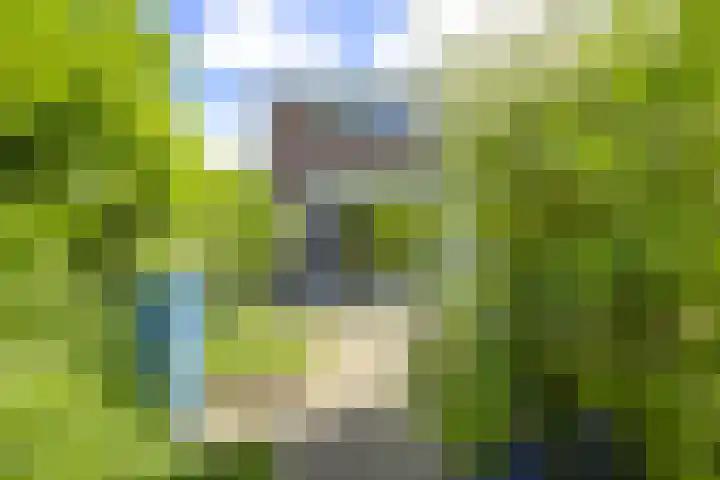 Elskamp 11 Odijk thumbnail 10
