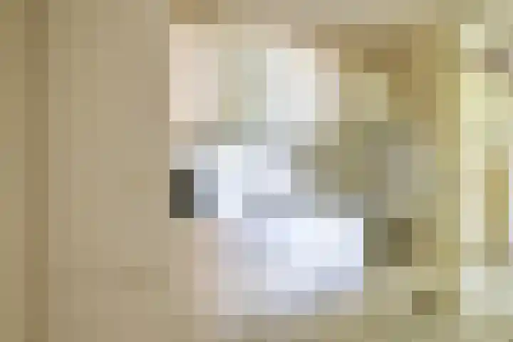 Elskamp 11 Odijk thumbnail 12