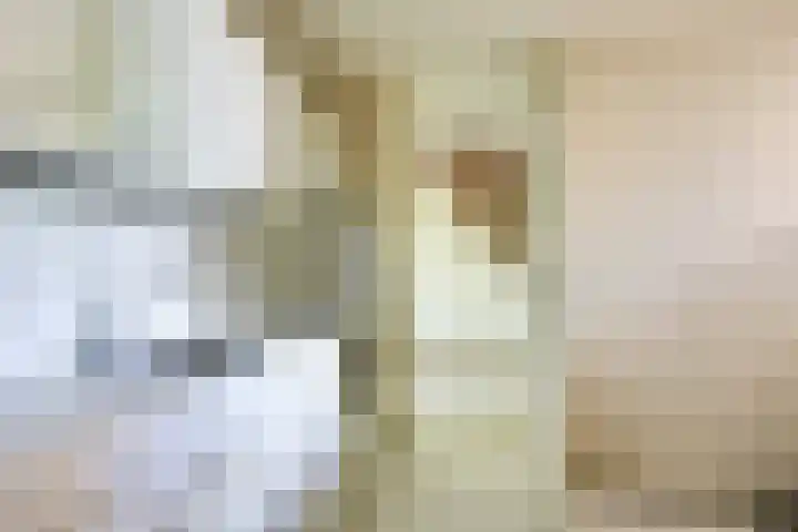 Elskamp 11 Odijk thumbnail 13