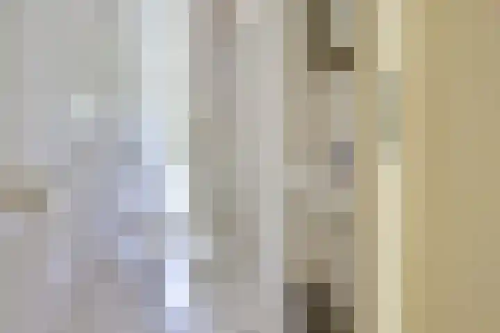Elskamp 11 Odijk thumbnail 14