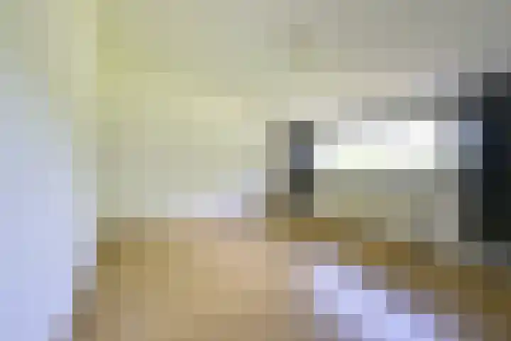 Elskamp 11 Odijk thumbnail 16