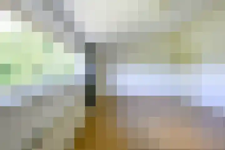 Elskamp 11 Odijk thumbnail 17