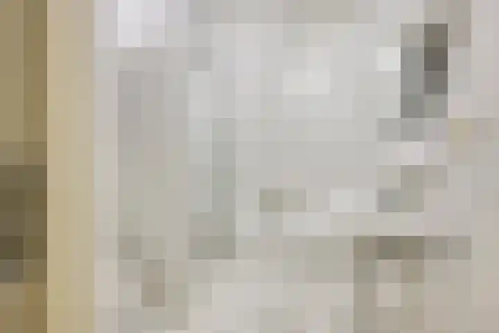 Elskamp 11 Odijk thumbnail 19