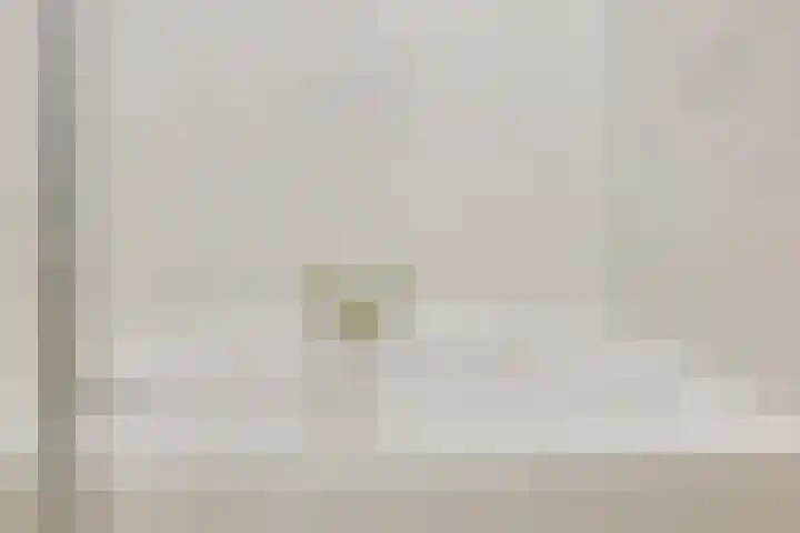 Elskamp 11 Odijk thumbnail 21