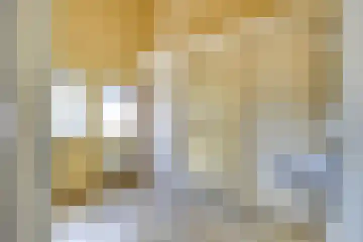 Elskamp 11 Odijk thumbnail 23