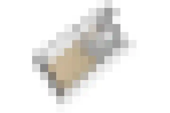 Elskamp 11 Odijk thumbnail 27