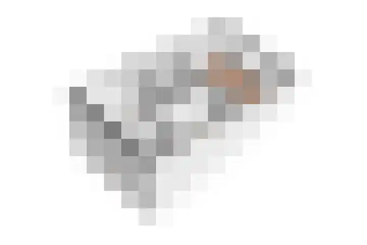 Elskamp 11 Odijk thumbnail 34