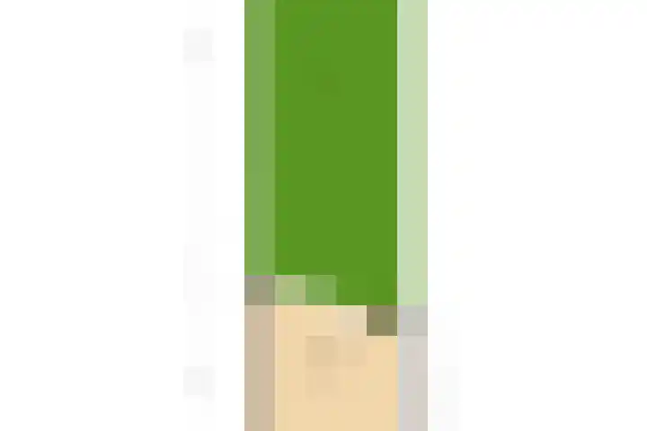 Elskamp 11 Odijk thumbnail 35