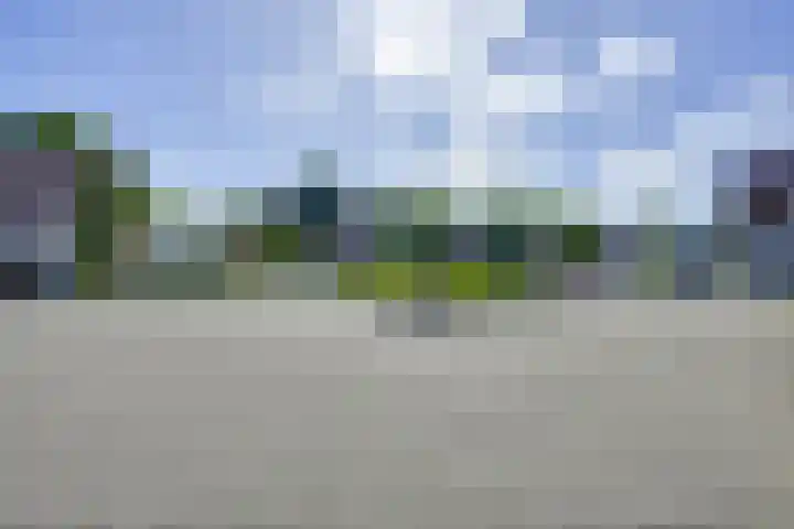 Elskamp 11 Odijk thumbnail 36