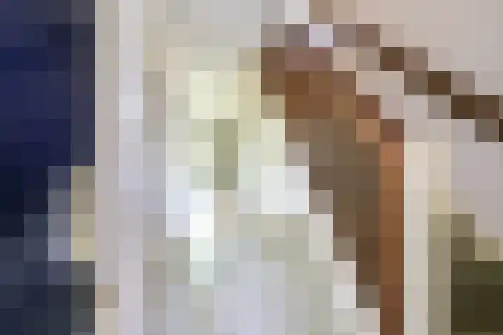 Elskamp 11 Odijk thumbnail 4