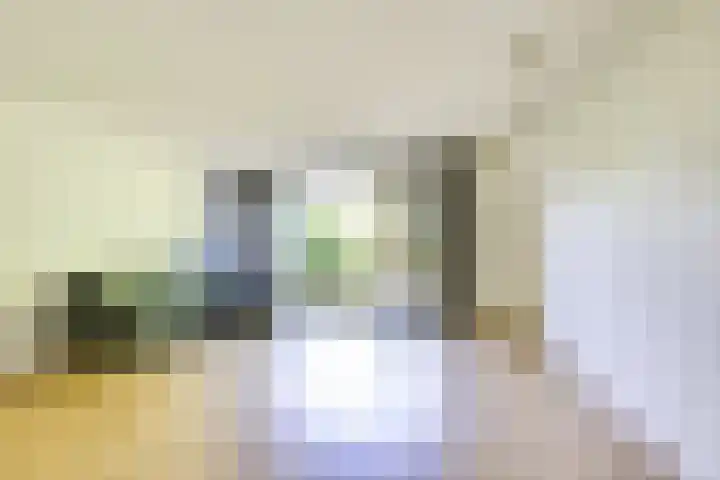 Elskamp 11 Odijk thumbnail 5
