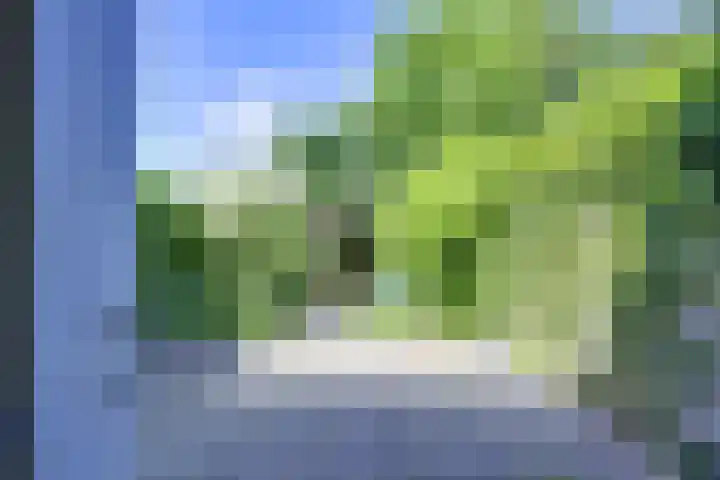 Elskamp 11 Odijk thumbnail 7