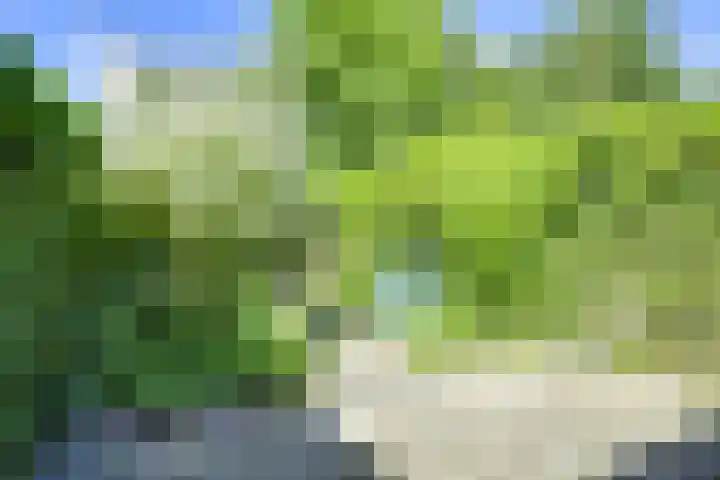 Elskamp 11 Odijk thumbnail 8